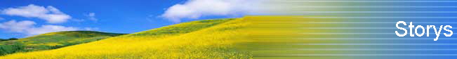 Storys