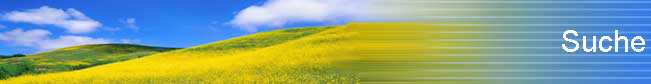 Suche